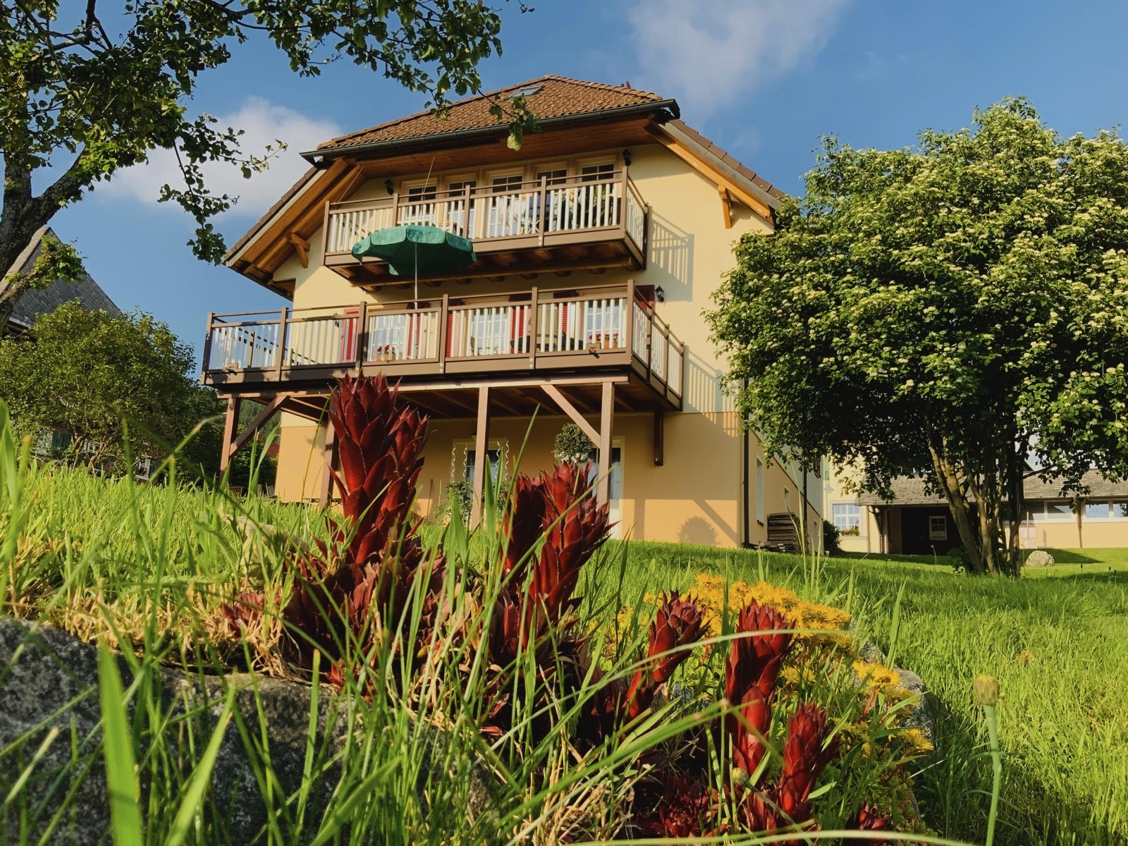 Lindenhof-Saig Ferienwohnung im Hochschwarzwald - Außenansicht