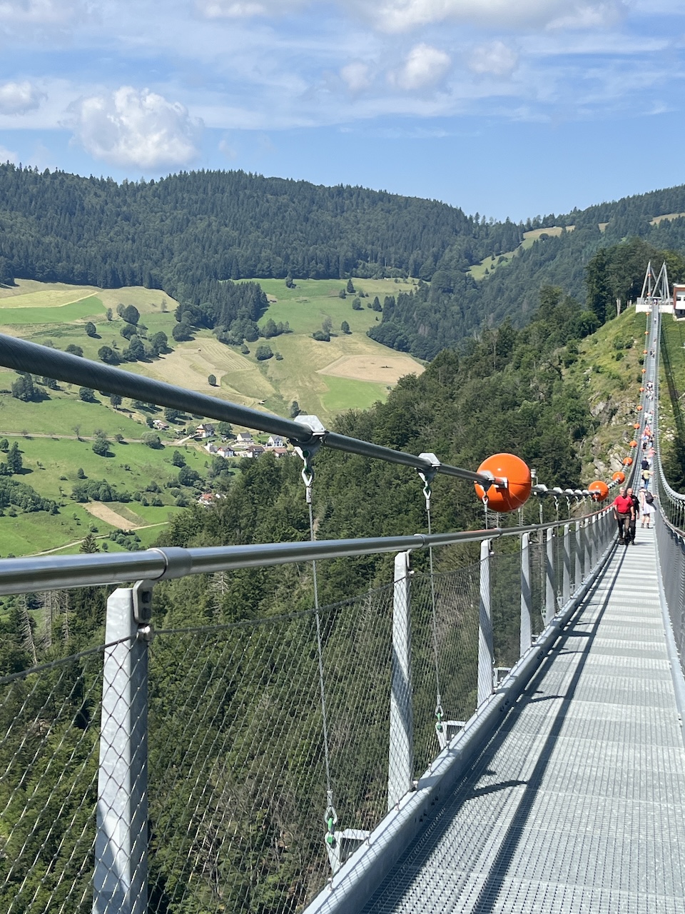 Familienaktivitäten im Schwarzwald - Abenteuergolfpark und Rodelbahn