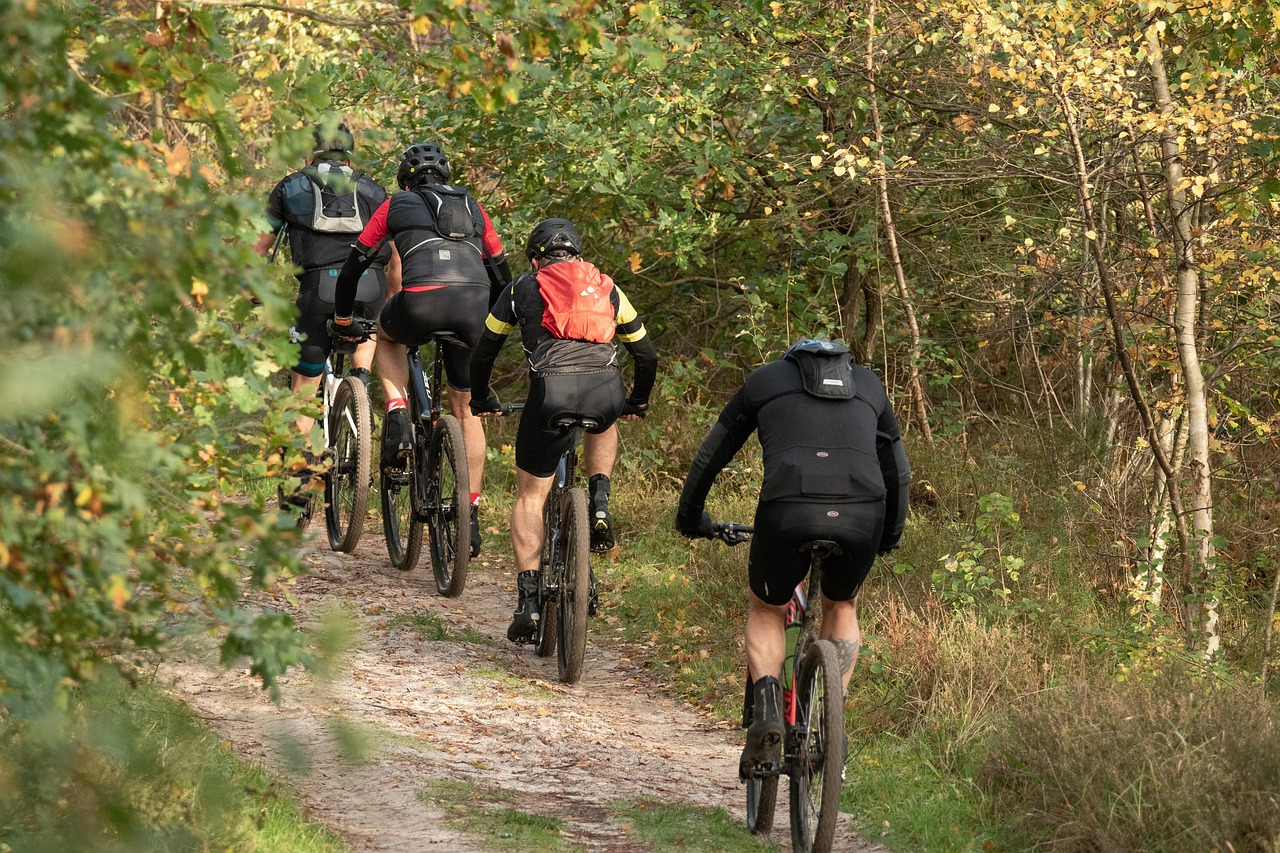 Mountainbiketouren im Schwarzwald - Ideale Bedingungen für Radfahrer