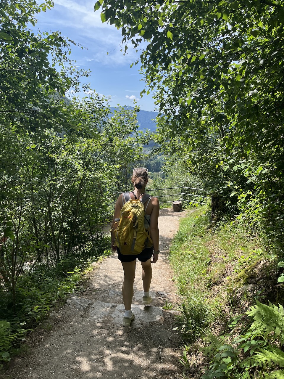 Wandern im Hochschwarzwald - Premiumwanderwege direkt vor der Haustür